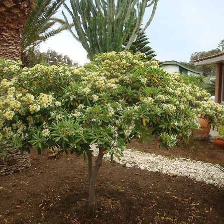 Villa Cetta B&B San Leone Buitenkant foto