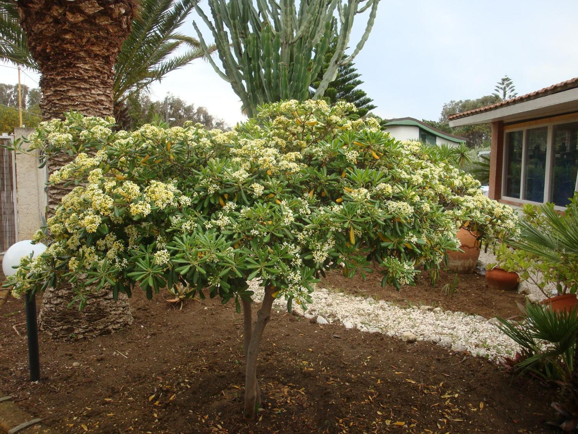 Villa Cetta B&B San Leone Buitenkant foto